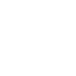 Shopping